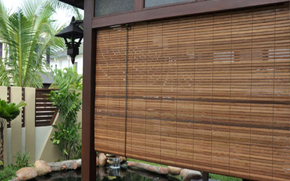 Vision Blinds